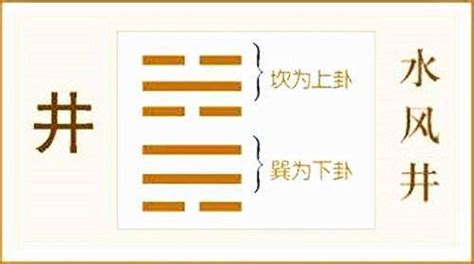 井卦工作 眼睛相